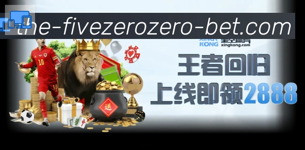 互动解说服务